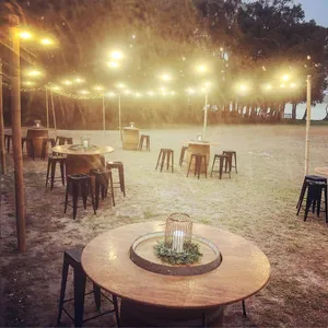 Festoon Lighting 20m