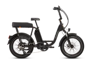 RadRunner™ Plus Electric Cargo Utility Bike