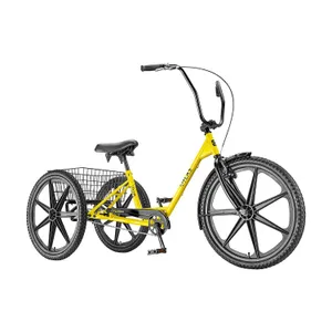 Adult Tricycle - Beachside Villas