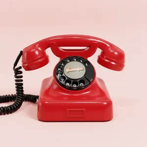 Gästetelefon Rory