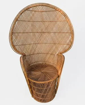 Peacock Wicker Chair