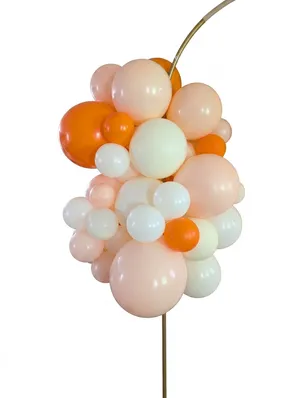 2 FT Balloon Garland Cluster