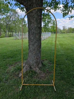 Arch 6-7 Ft