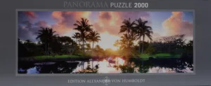 HEYE 2000 Teile Puzzle | Palm Trees