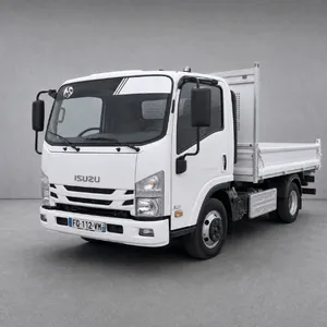 Isuzu N35