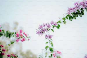 Flower Wall Mash Pink