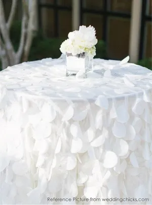 Table Cloth Cake Table