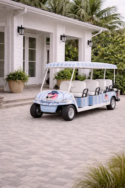 Anna Maria Island Golf Cart Rentals Coastal Flamingo Carts