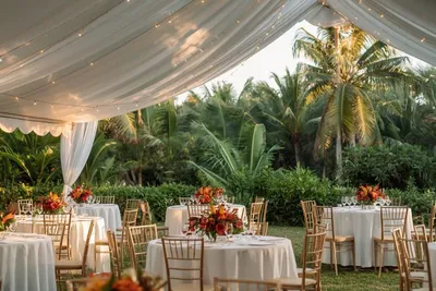 mariage-guyane-organiser-guide-mitanoo.jpg