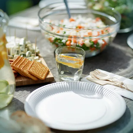 DISPOSABLE PARTY SUPPLIES