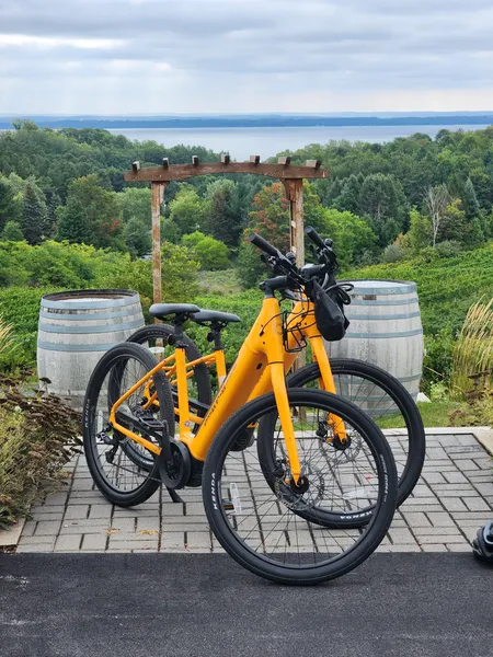 Electric Pedal Assist