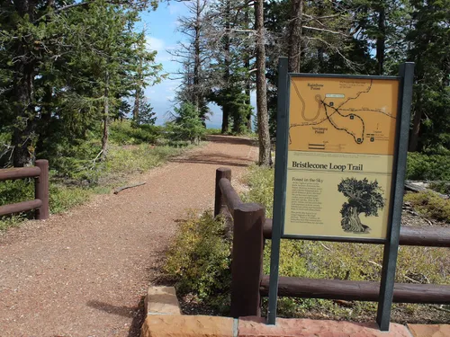 Bristlecone Loop Trail