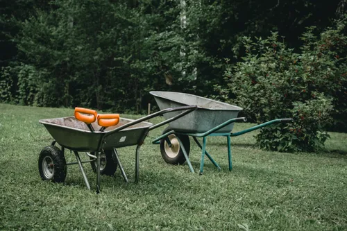 Gardening and Cleaning