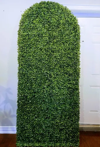Green Panel Backdrop