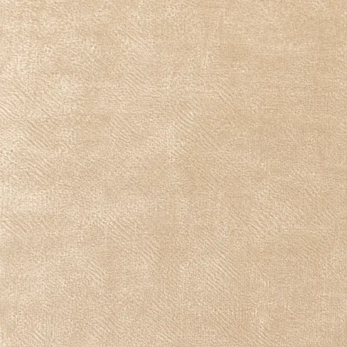 Champaigne Velvet Drape