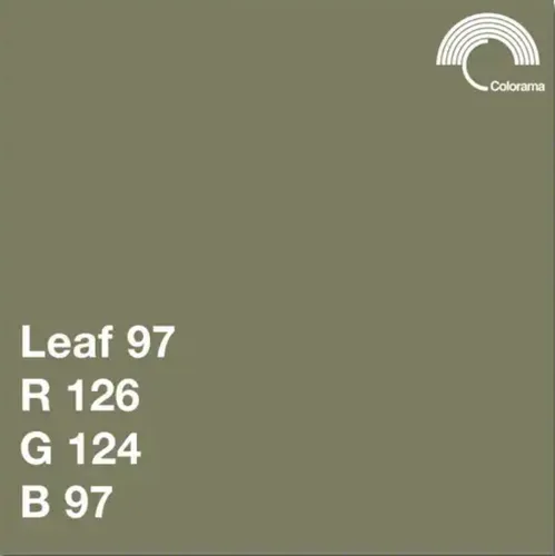Colorama #197 Leaf 2.72x11m