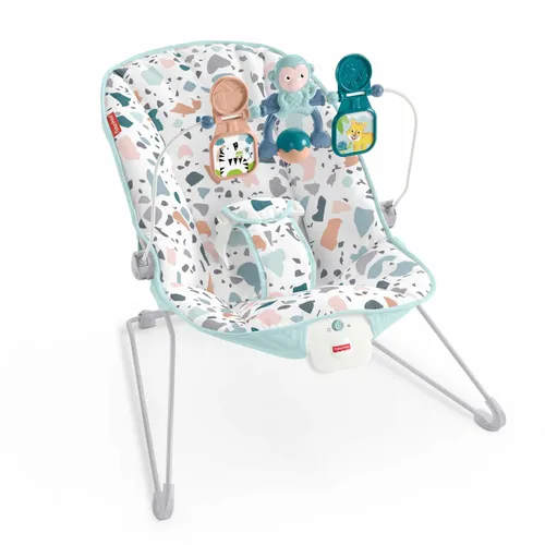 Fisher-Price Baby's Bouncer Soothing Seat