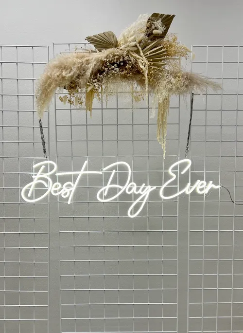 Neon Sign - Best Day Ever