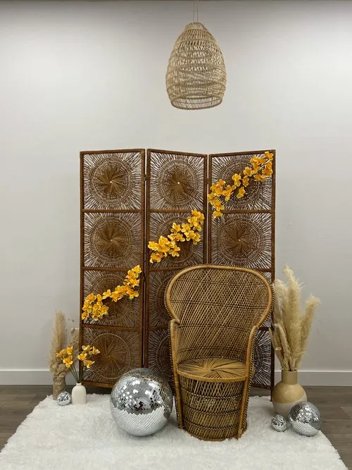 Penelope Peacock Chair