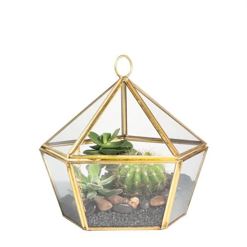 Geometric Terrarium