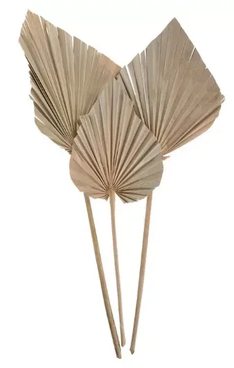 Beige Dried Palm Spear