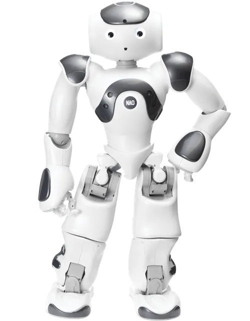 NAO Robot