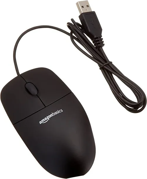 Computer Mouse