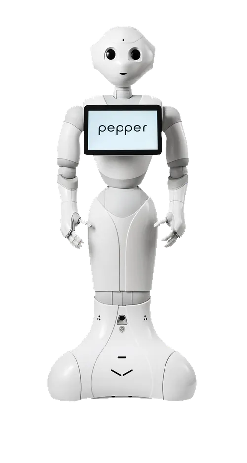Pepper Robot