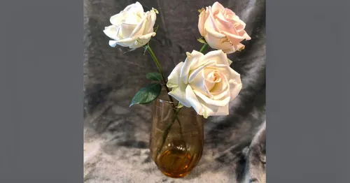 Amber Brown oval ribbed cylinder Blown Glass Vase (5 in tall)