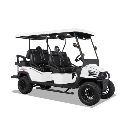 6 Seater Golf Cart (Lifted)