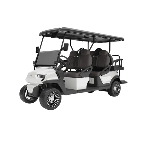 6 Seater Golf Cart (Non-Lifted)