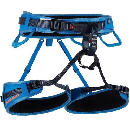 Climbing Harness