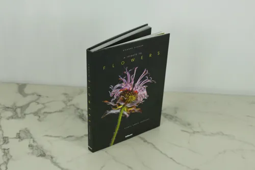 A Tribute To Flowers