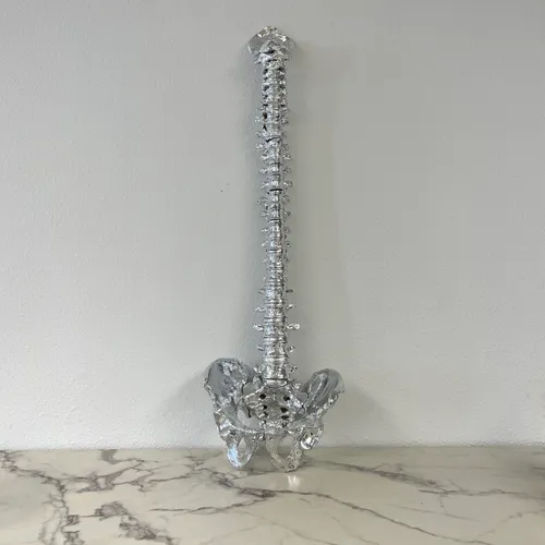 Silver Spine Sculpture