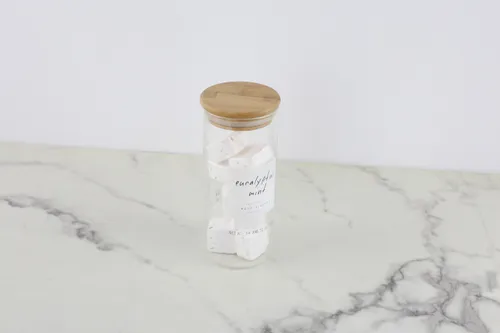 Eucalyptus Bath Fizzers Jar