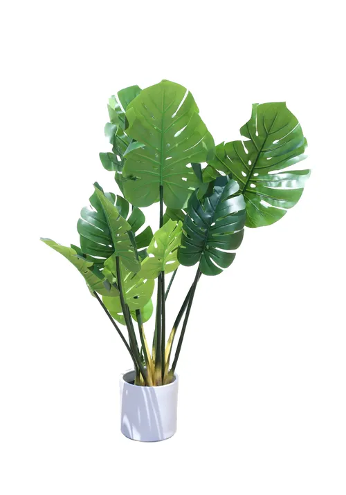 AMANDA Faux Plant No. 70