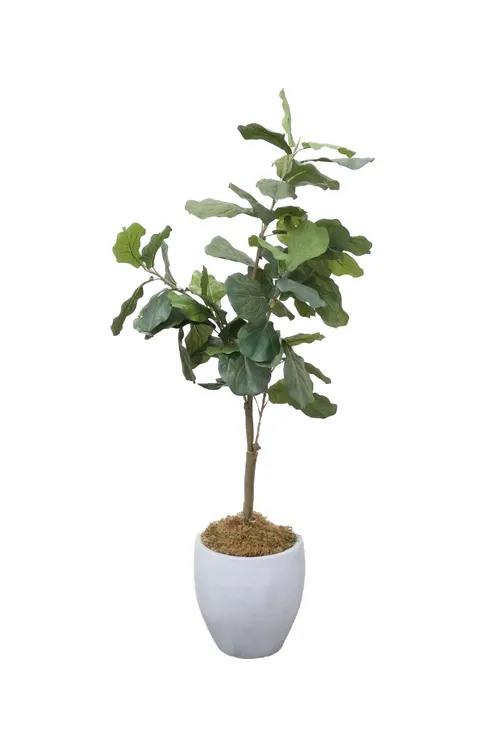 AMANDA Faux Plant No. 72