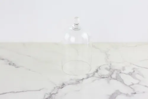 Glass Cloche