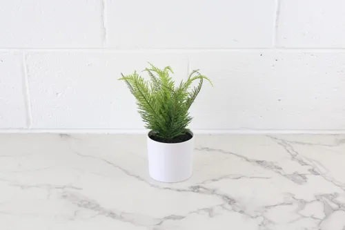 Faux Plant No. 25