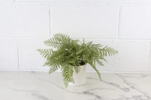 Faux Plant No. 27