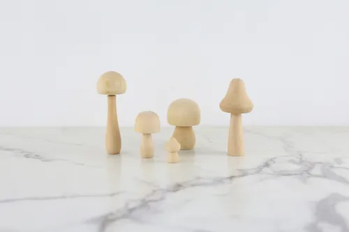Mini Wooden Mushroom Collection