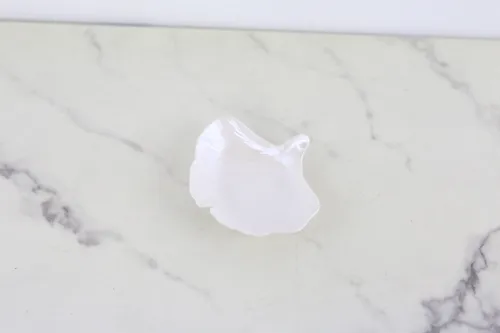 Vintage White Ceramic Gingko Tray