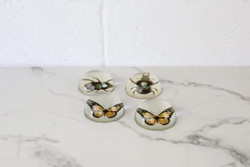 Bug Paperweight