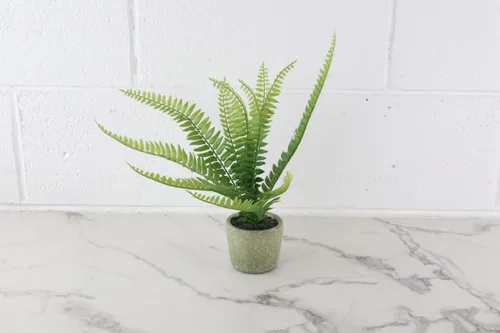 Faux Plant No. 18
