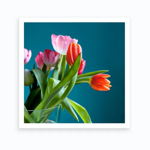 No. 81 Artwork - M - 21x21