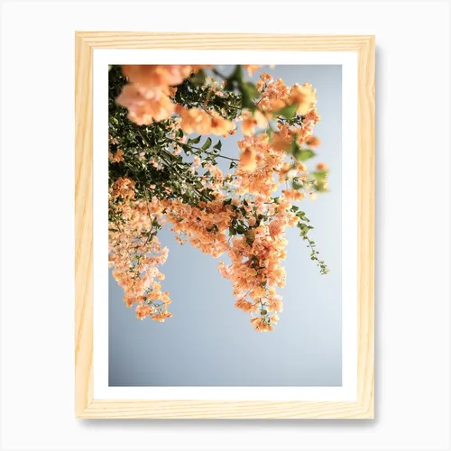 No. 101 Artwork - L - 30X42