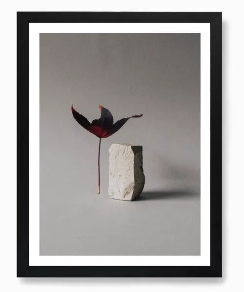 No. 245 Artwork - L - 25x33