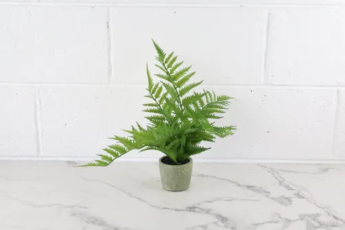 Faux Plant No. 28