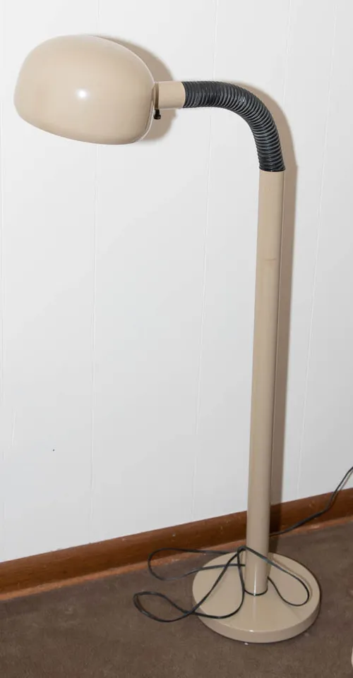 MCM Gooseneck Floor Lamp