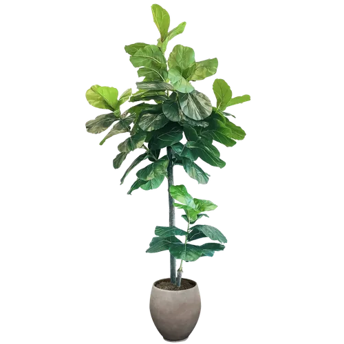 Faux Plant No. 94